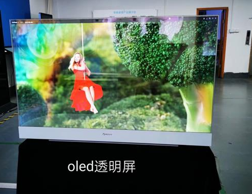 平面OLED透明屏和曲面OLED秀明屏的实物展示