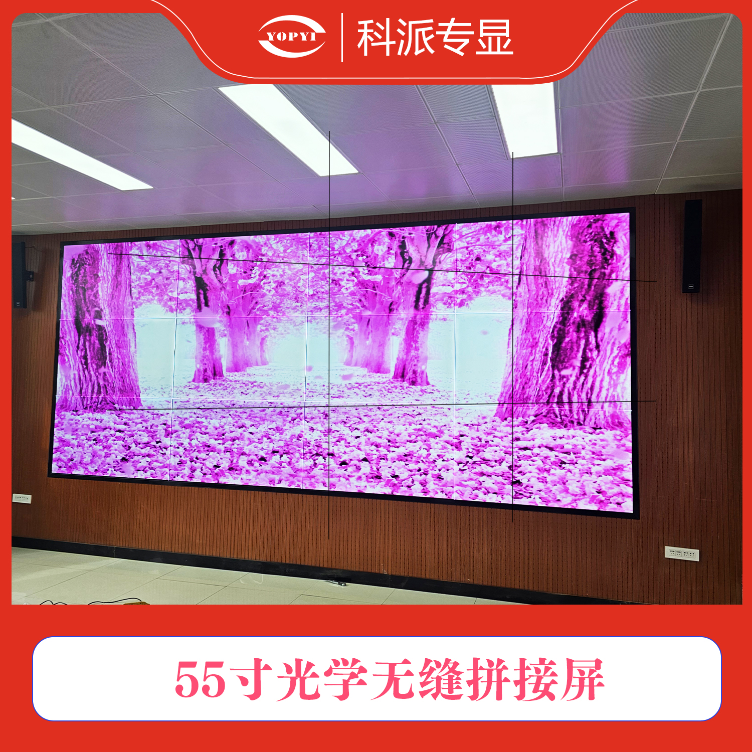 微信图片_20250328154438.jpg